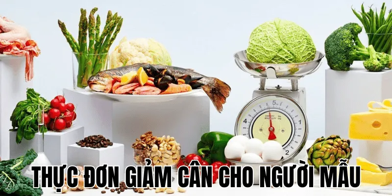 Thực Đơn Giảm Cân Cho Người Mẫu
