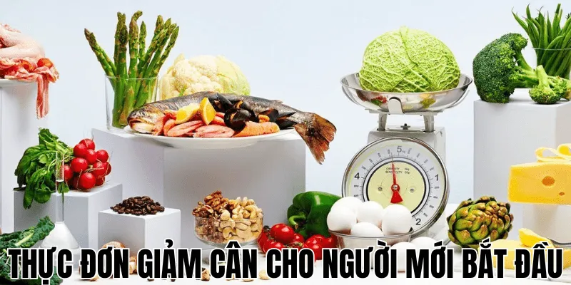 Thực Đơn Giảm Cân Cho Người Mới Bắt Đầu